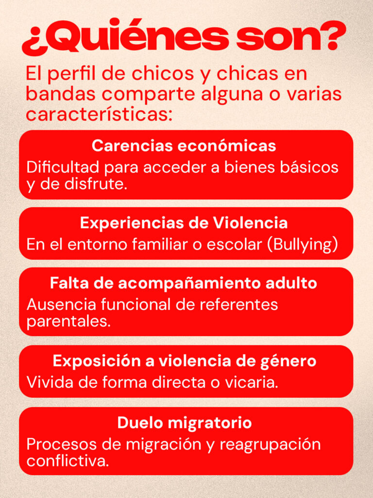 El Perfil de chicos y chicas en bandas comparte alguna o varias características: Carencias económicas: Dificultad para acceder a bienes básicos y de disfrute- Experiencias de Violencia: En el entorno familiar o escolar (Bullying) Falta de acompañamiento adulto: Ausencia funcional de referentes parentales. Exposición a violencia de género: Vivida de forma directa o vicaria. Duelo migratorio: Procesos de migración y reagrupación conflictiva.