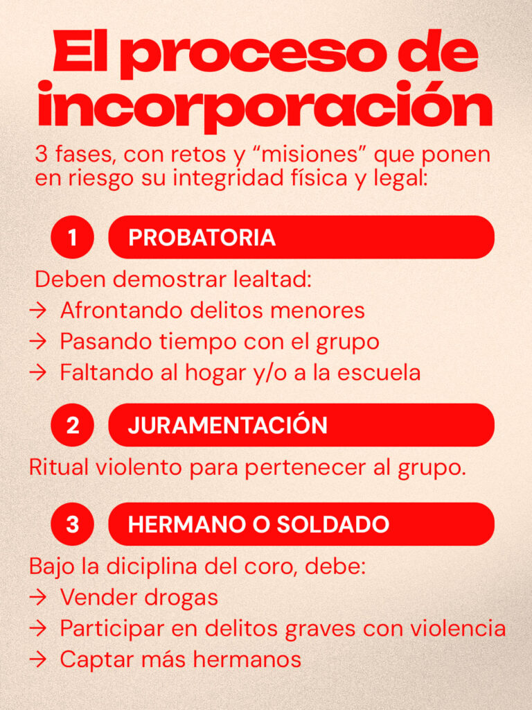 EL PROCESO DE INCORPORACIÓN pasa por 3 fases, con retos y “misiones” que ponen en riesgo su integridad física y legal: Probatoria.- Deben demostrar lealtad: Afrontando delitos menores. Pasando tiempo con el grupo Faltando al hogar y/o a la escuela. Juramentación. - Ritual violento para pertenecer al grupo. Hermano o soldado.- Bajo la diciplina del coro, debe: Vender drogas. Participar en delitos graves con violencia. Captar más hermanos.