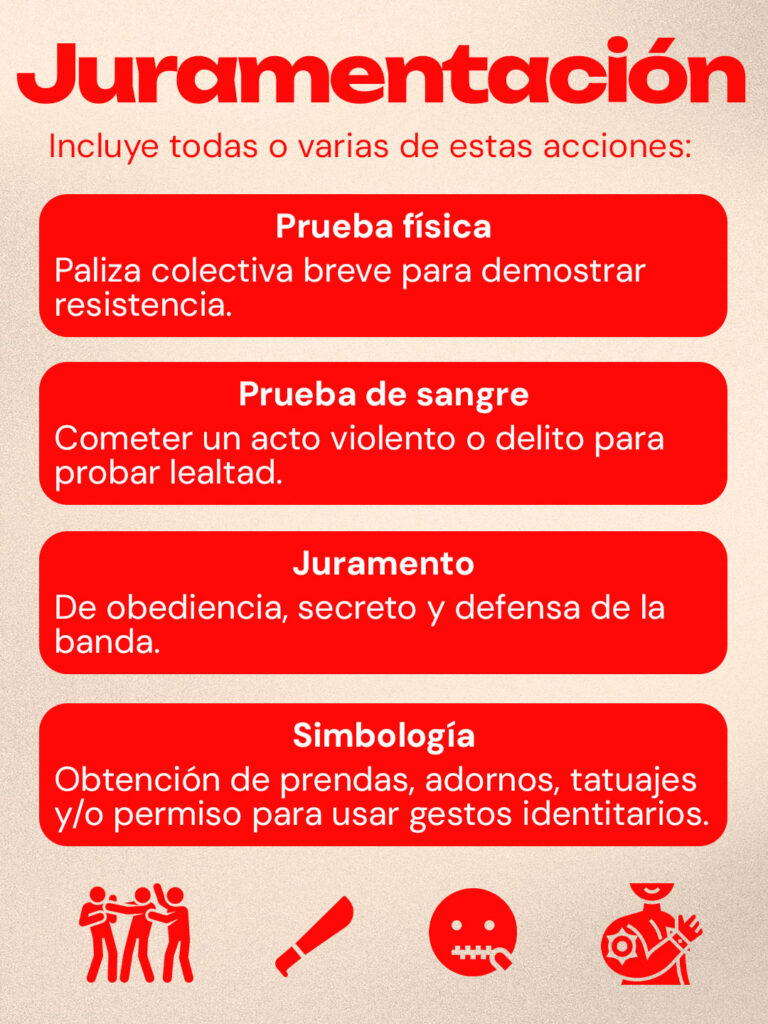 Incluye todas o varias de estas acciones: Prueba física: Paliza colectiva breve para demostrar resistencia. Prueba de sangre: Cometer un acto violento o delito para probar lealtad. Juramento de obediencia, secreto y defensa de la banda. Simbología: Obtención de prendas, adornos, tatuajes y/o permiso para usar gestos identitarios.